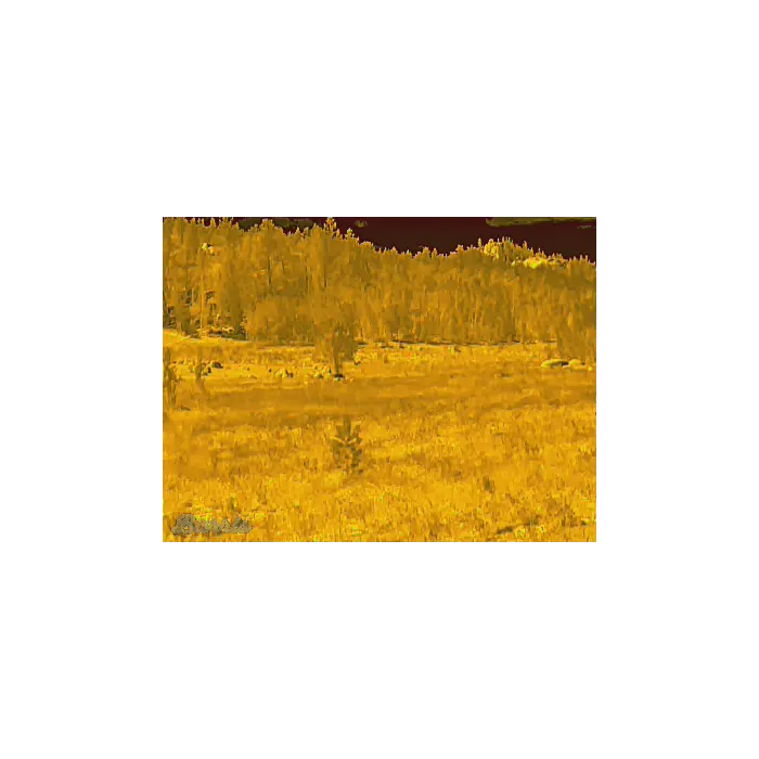 Amber Thermal Preview