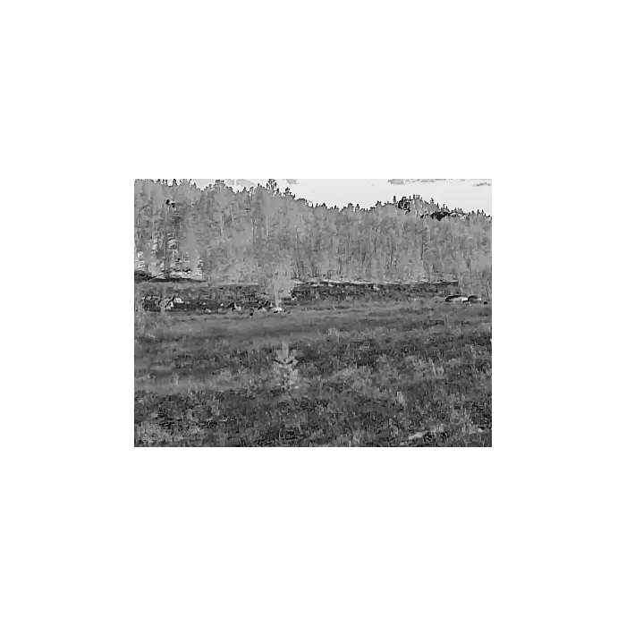 Black Hot Thermal Preview