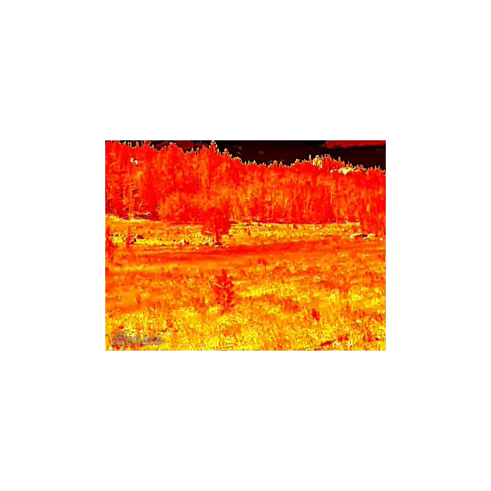 Inferno Thermal Preview