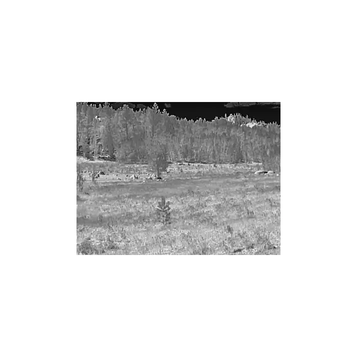 White Hot Thermal Preview